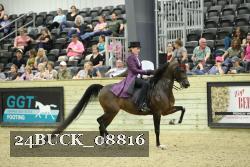 24BUCK_08816 proof