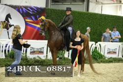 24BUCK_08817 proof