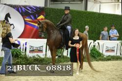 24BUCK_08818 proof