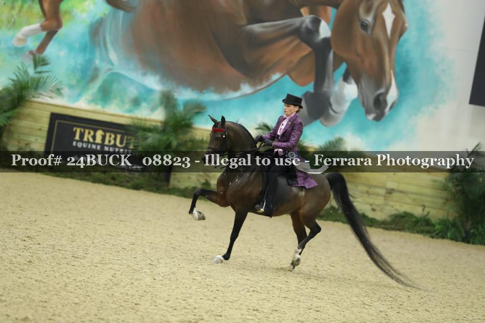 Proof 24BUCK_08823