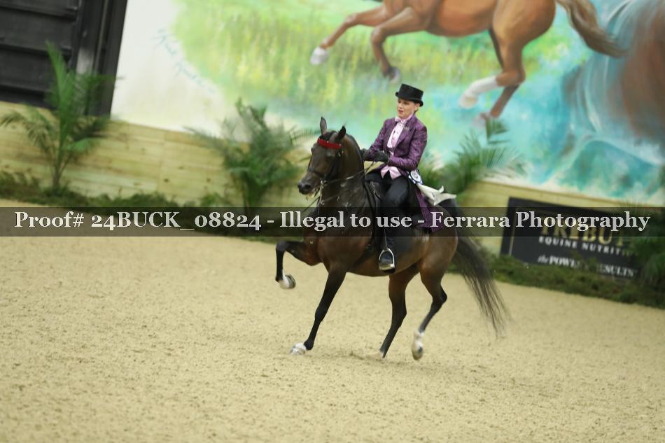 Proof 24BUCK_08824