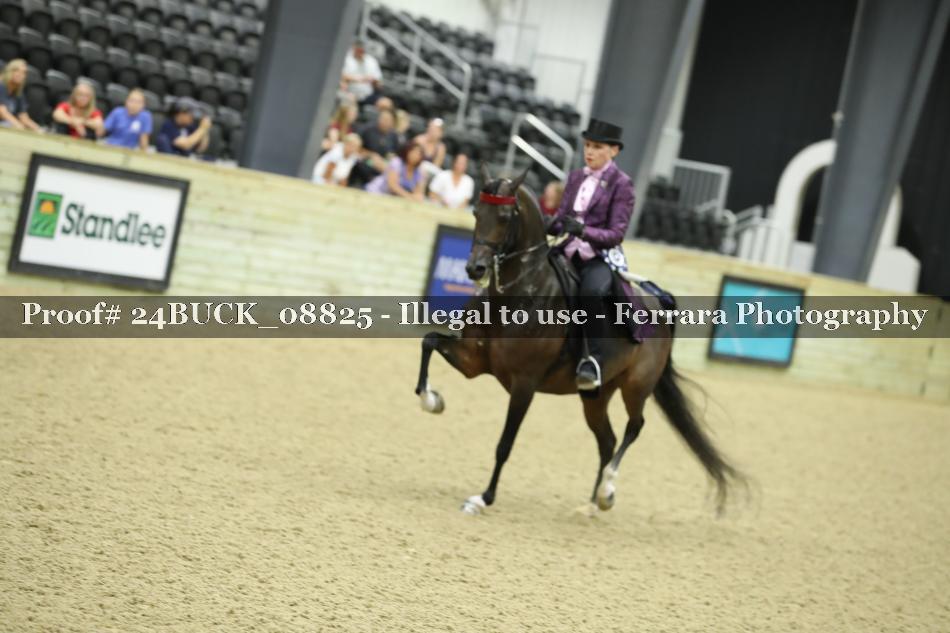 Proof 24BUCK_08825