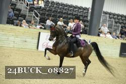 24BUCK_08827 proof