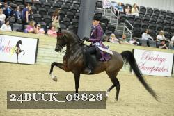 24BUCK_08828 proof