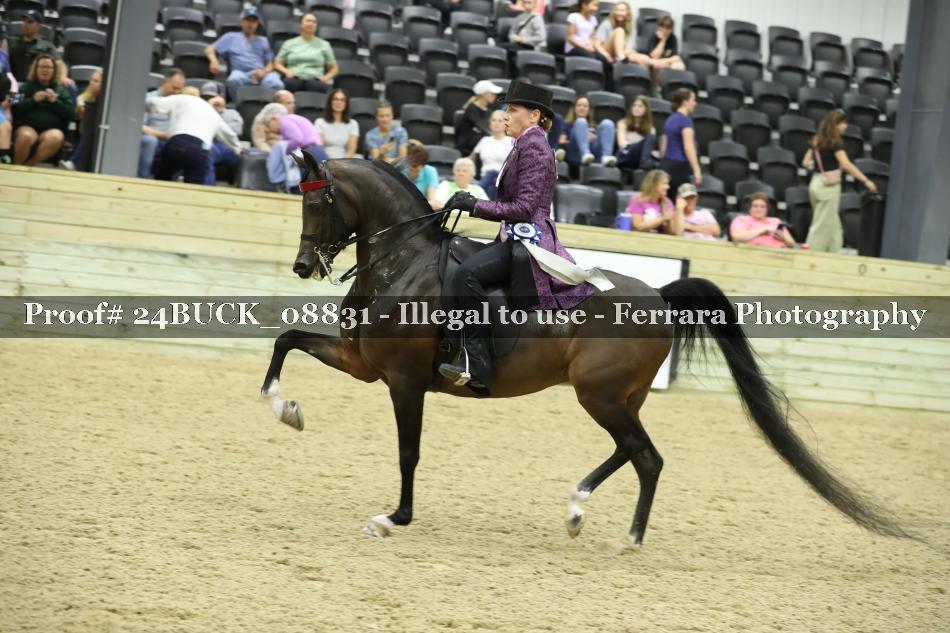 Proof 24BUCK_08831