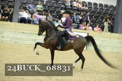24BUCK_08831 proof
