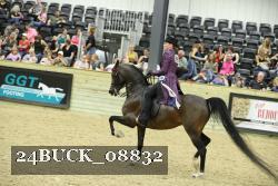 24BUCK_08832 proof