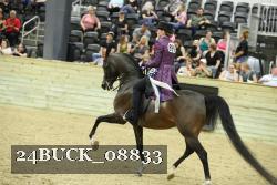 24BUCK_08833 proof