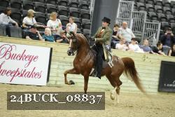 24BUCK_08837 proof