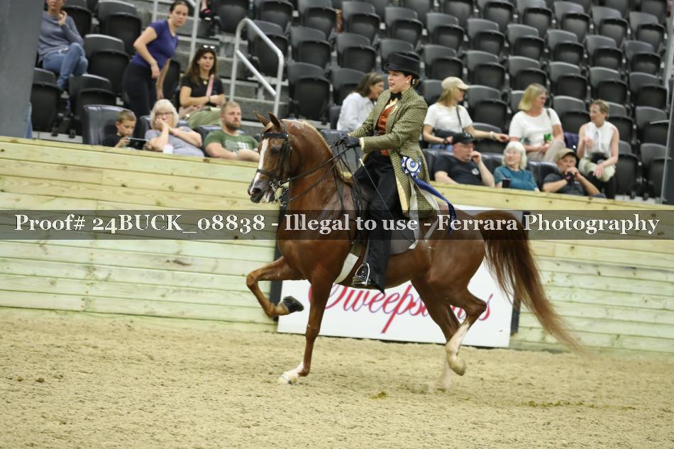 Proof 24BUCK_08838