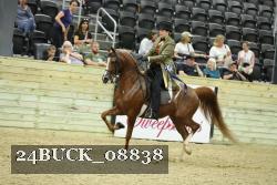 24BUCK_08838 proof