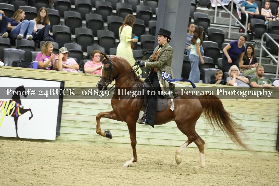 Proof 24BUCK_08839