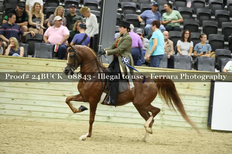 Proof 24BUCK_08843