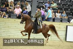 24BUCK_08843 proof