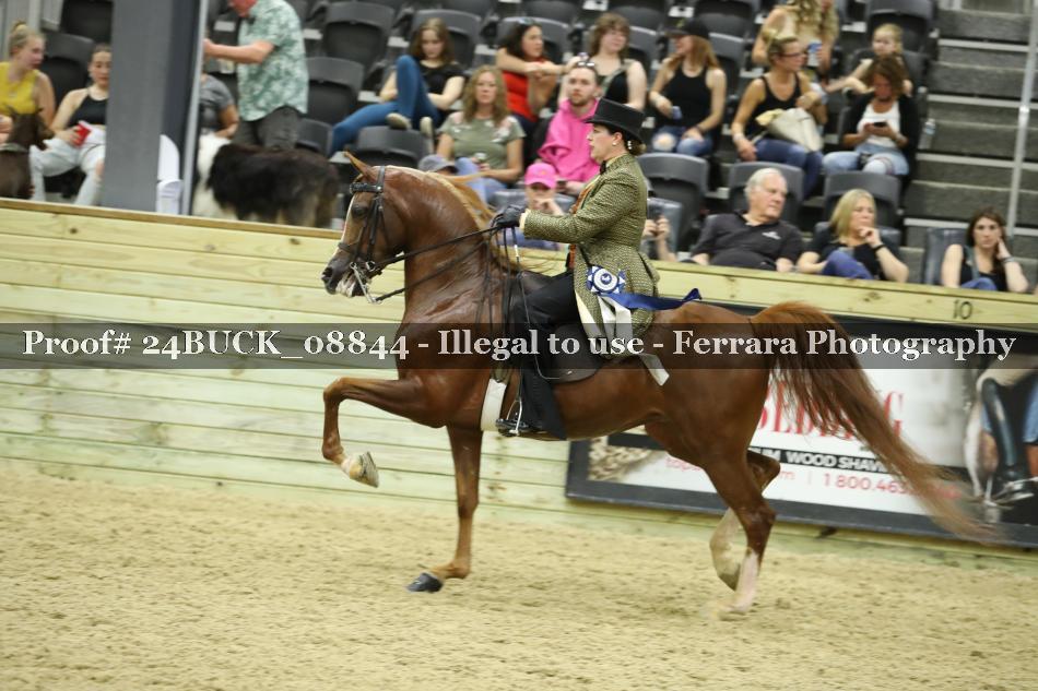 Proof 24BUCK_08844