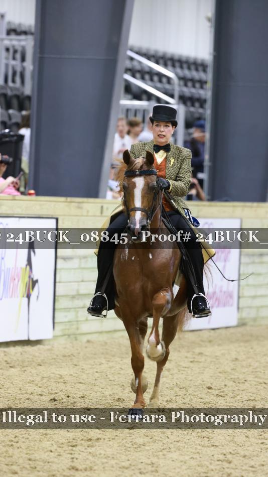 Proof 24BUCK_08845