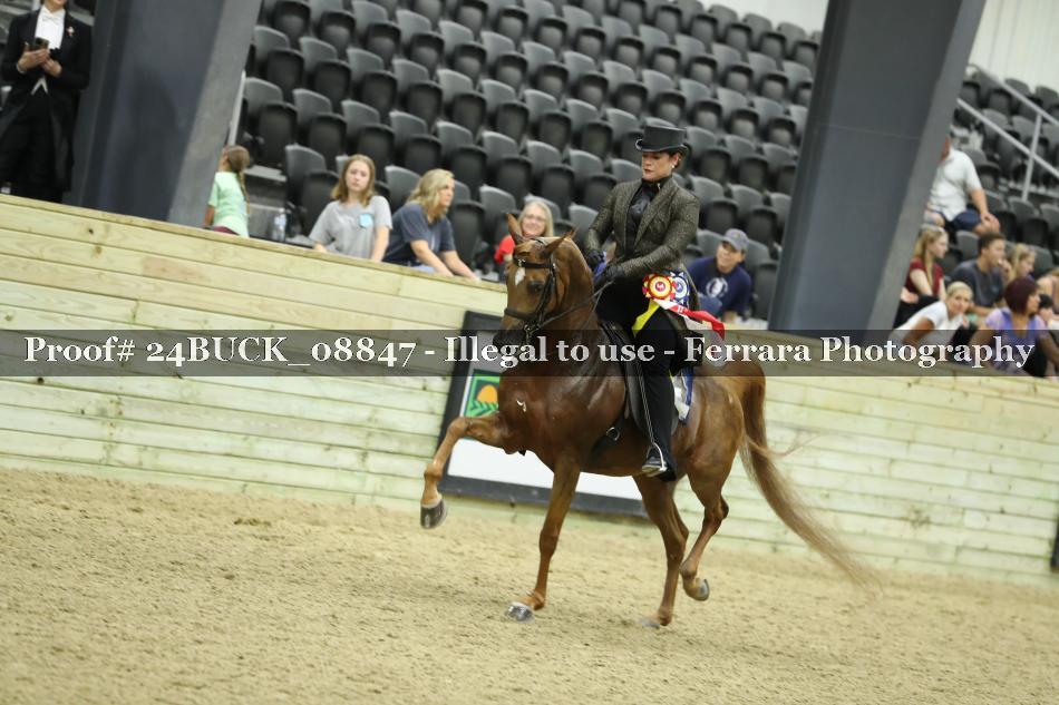 Proof 24BUCK_08847