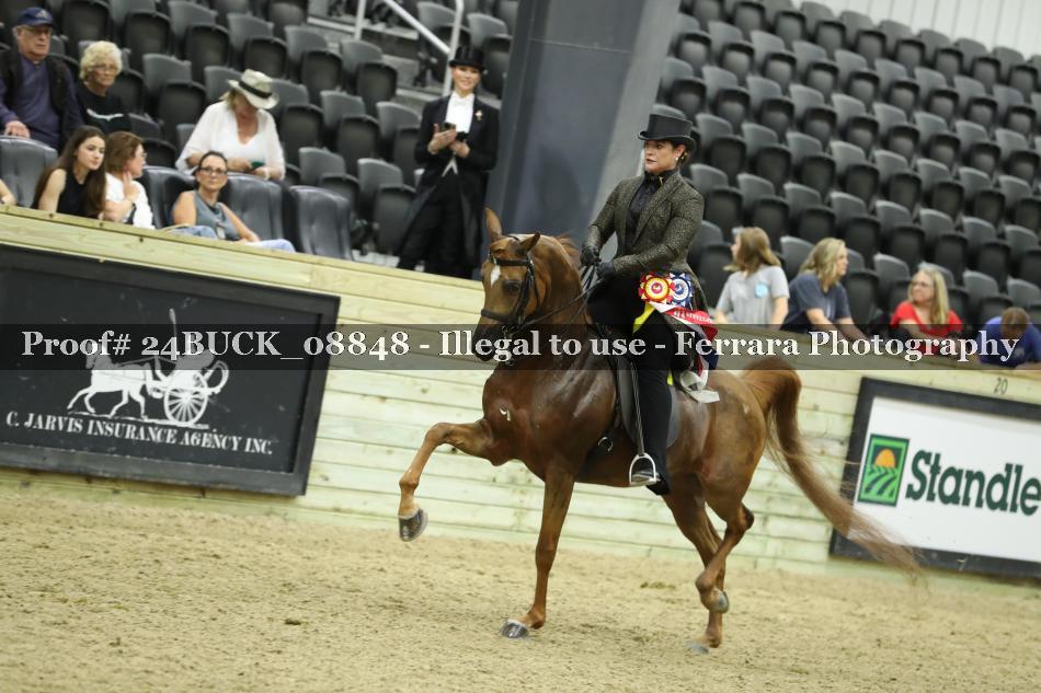 Proof 24BUCK_08848