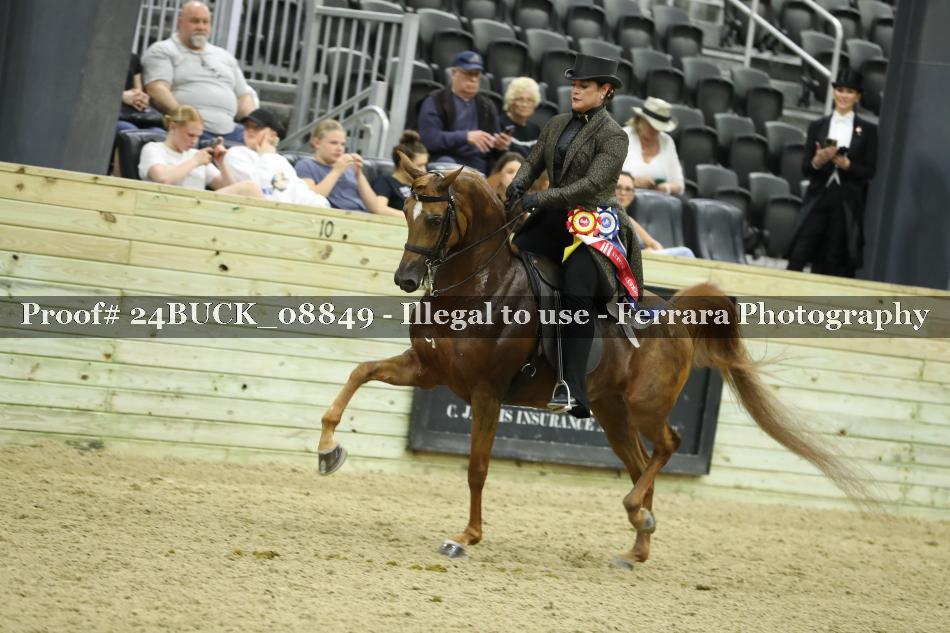 Proof 24BUCK_08849