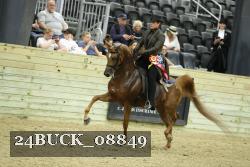 24BUCK_08849 proof