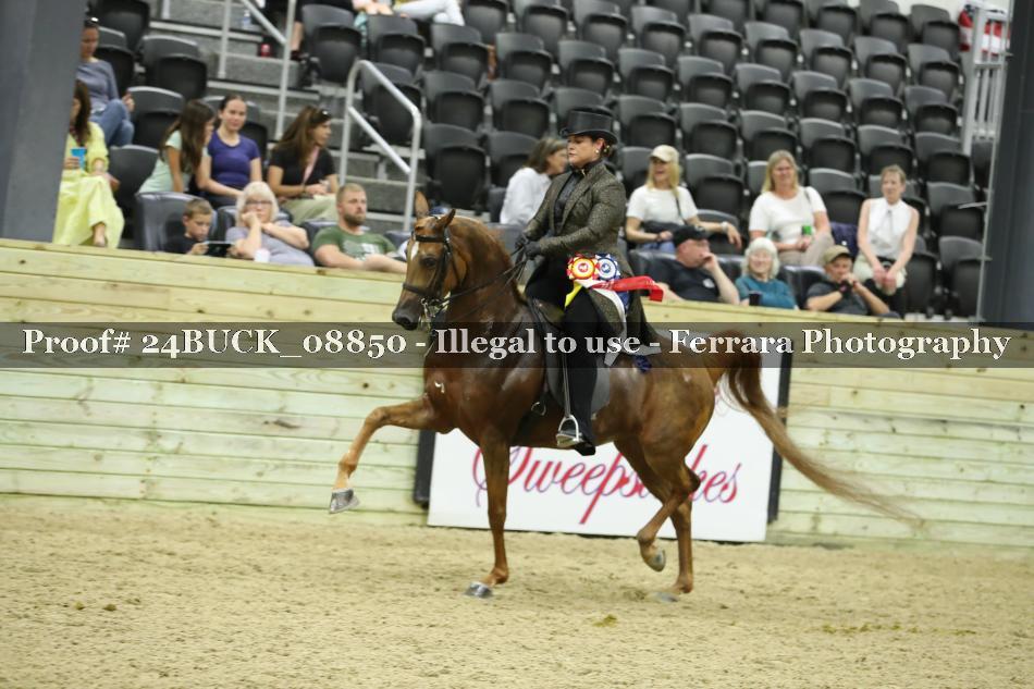 Proof 24BUCK_08850