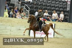 24BUCK_08850 proof