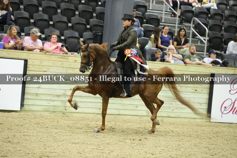 Proof 24BUCK_08851