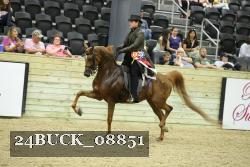 24BUCK_08851 proof