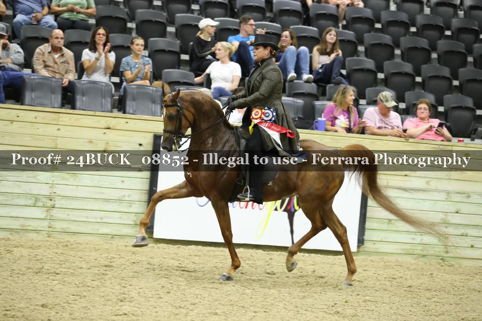 Proof 24BUCK_08852