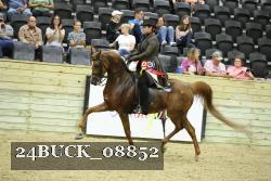 24BUCK_08852 proof