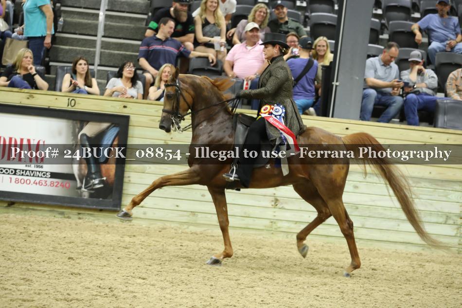 Proof 24BUCK_08854