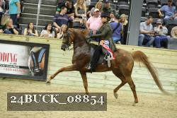 24BUCK_08854 proof