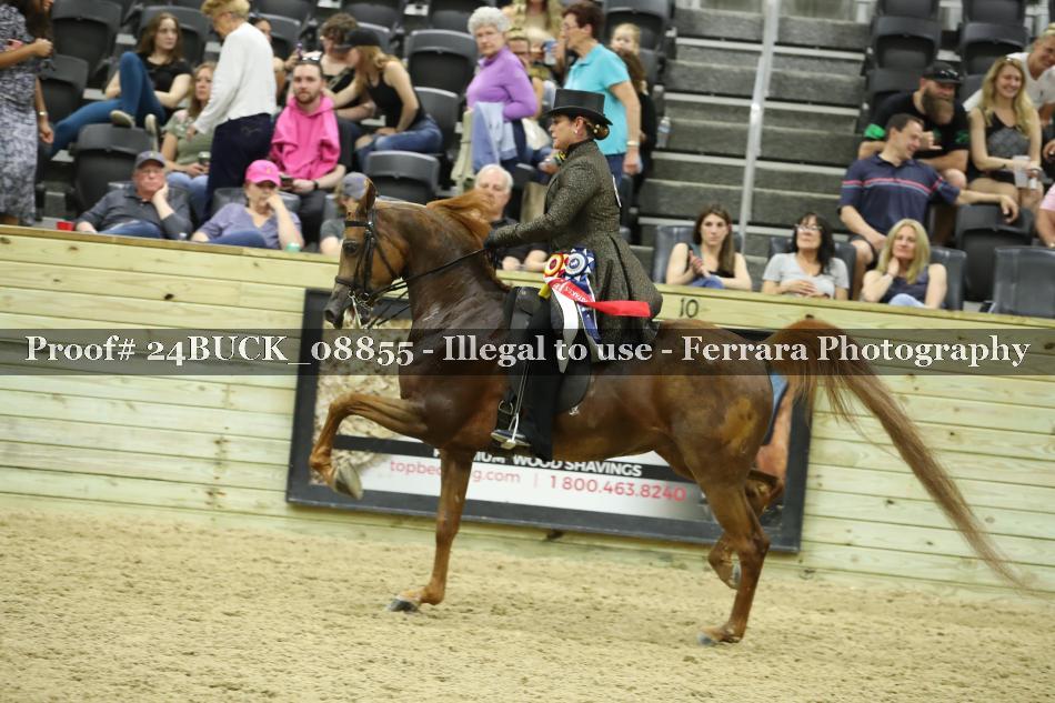 Proof 24BUCK_08855