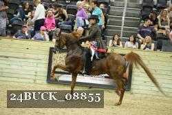 24BUCK_08855 proof