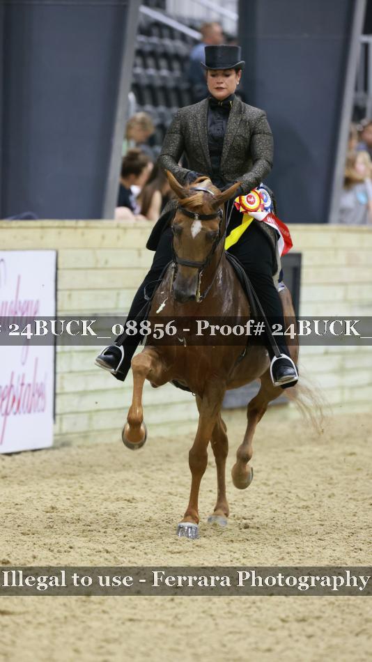 Proof 24BUCK_08856