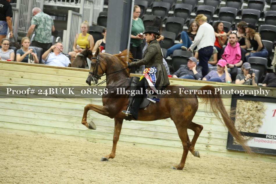 Proof 24BUCK_08858
