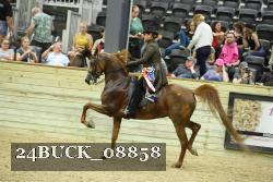 24BUCK_08858 proof