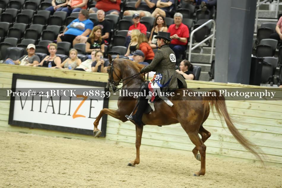 Proof 24BUCK_08859