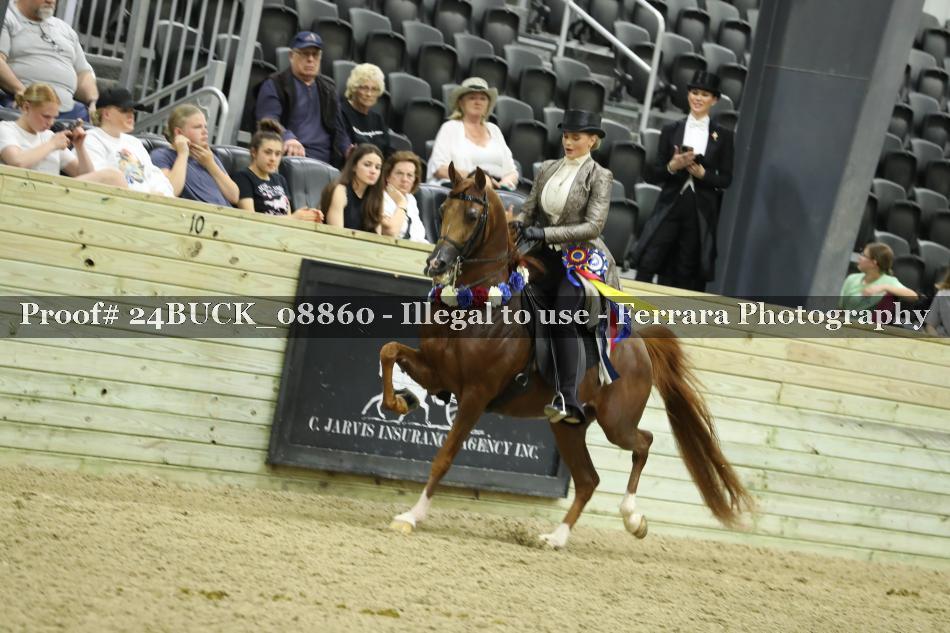 Proof 24BUCK_08860