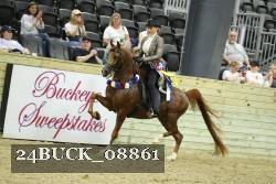 24BUCK_08861 proof