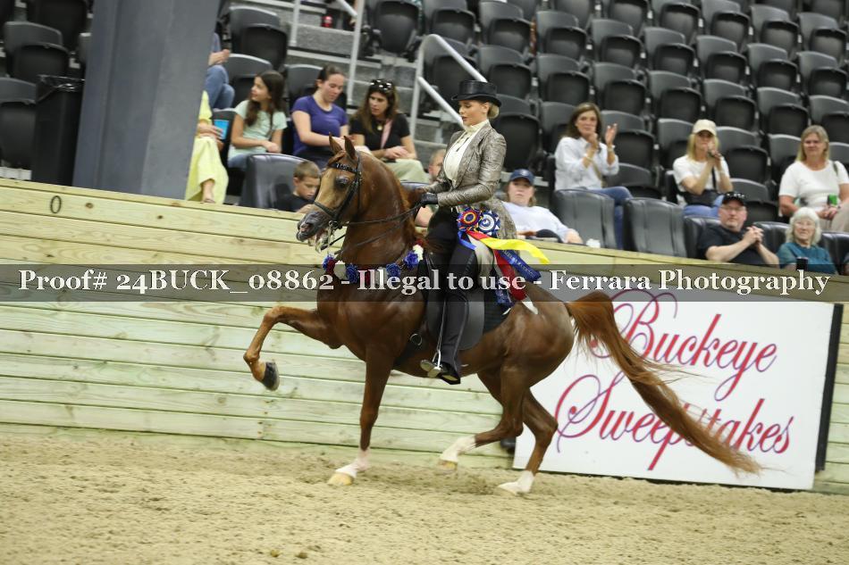 Proof 24BUCK_08862
