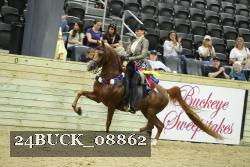 24BUCK_08862 proof