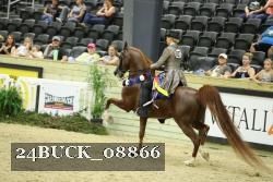 24BUCK_08866 proof