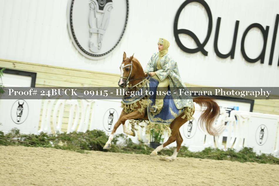 Proof 24BUCK_09115