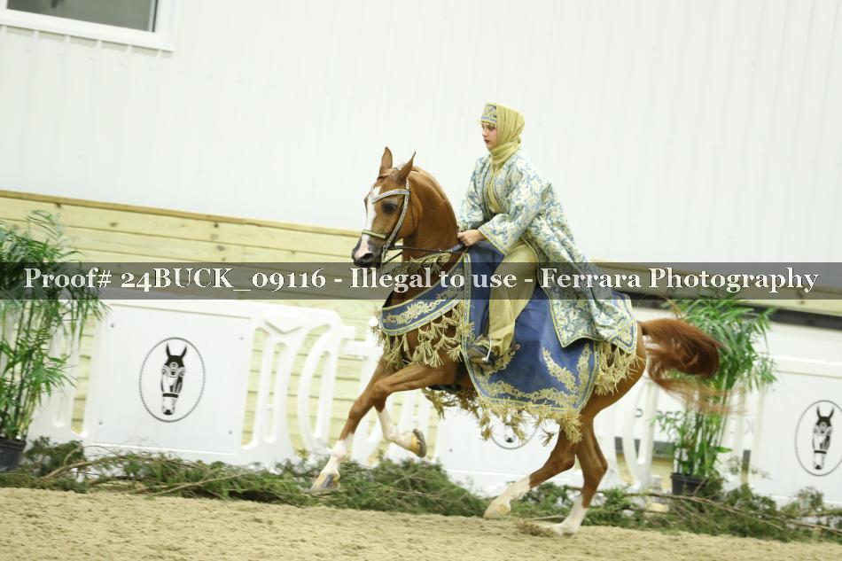 Proof 24BUCK_09116