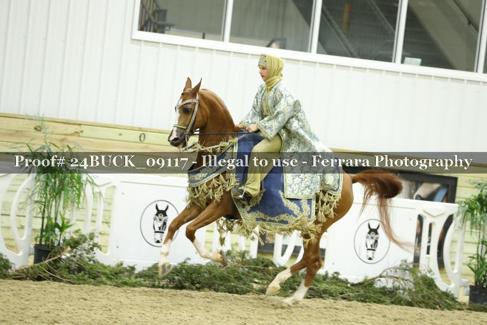 Proof 24BUCK_09117