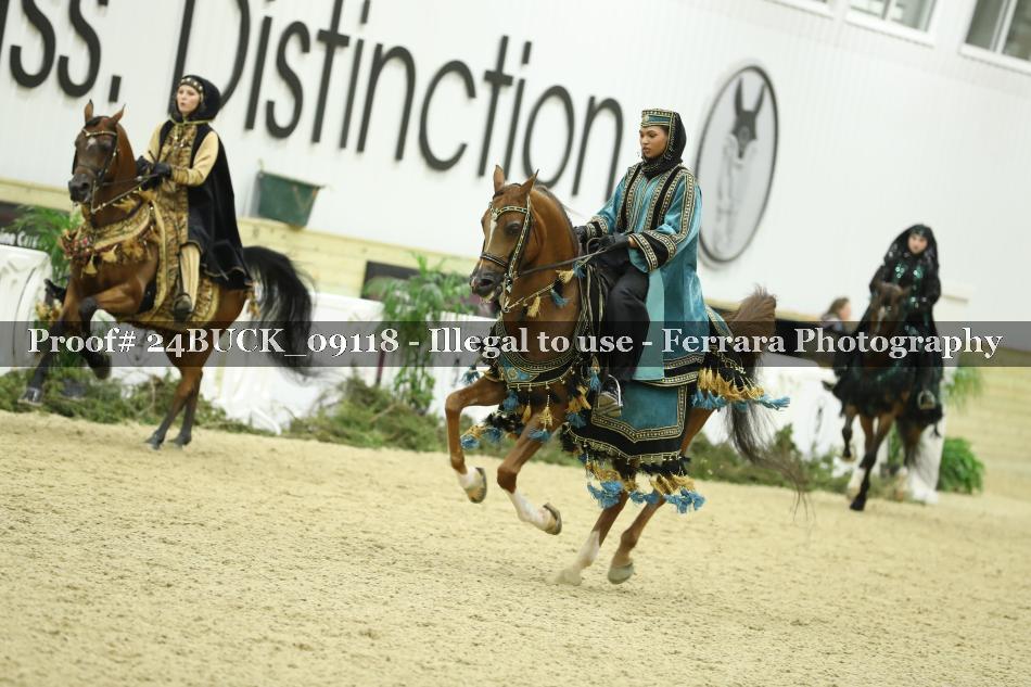 Proof 24BUCK_09118