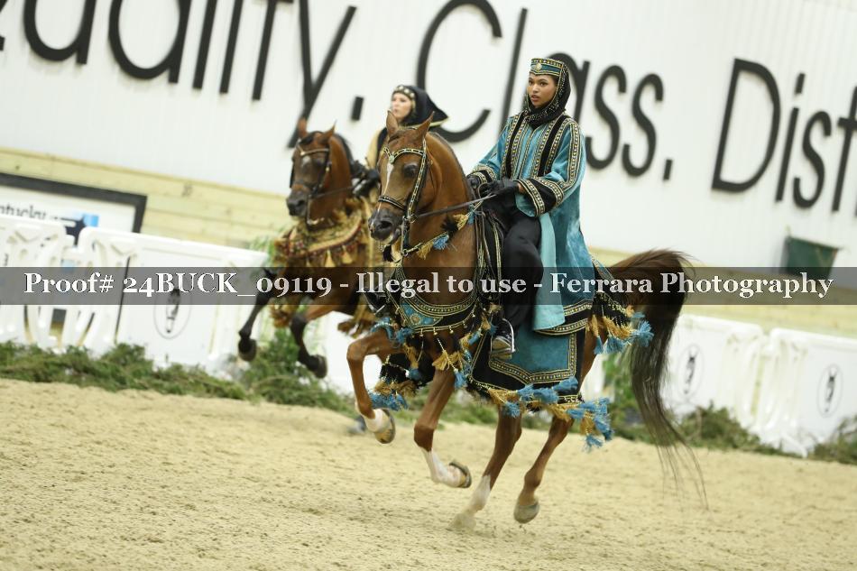 Proof 24BUCK_09119