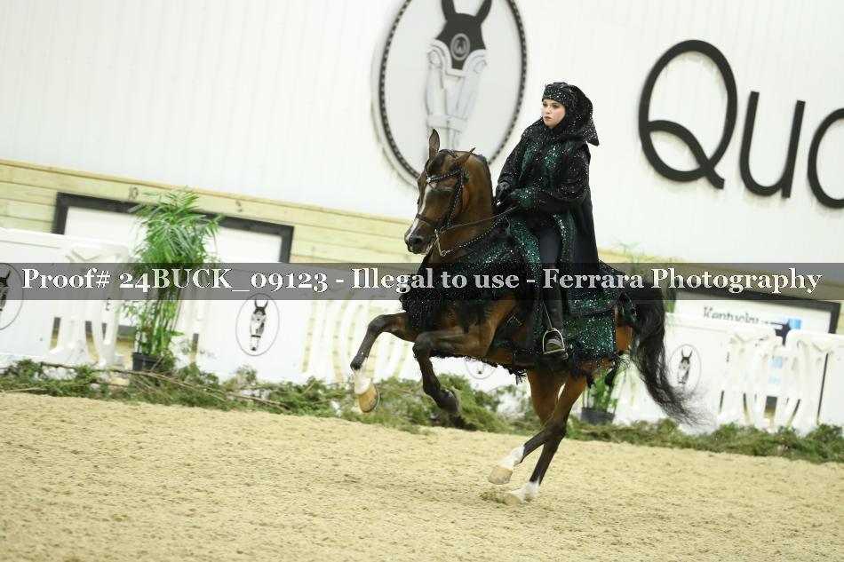 Proof 24BUCK_09123