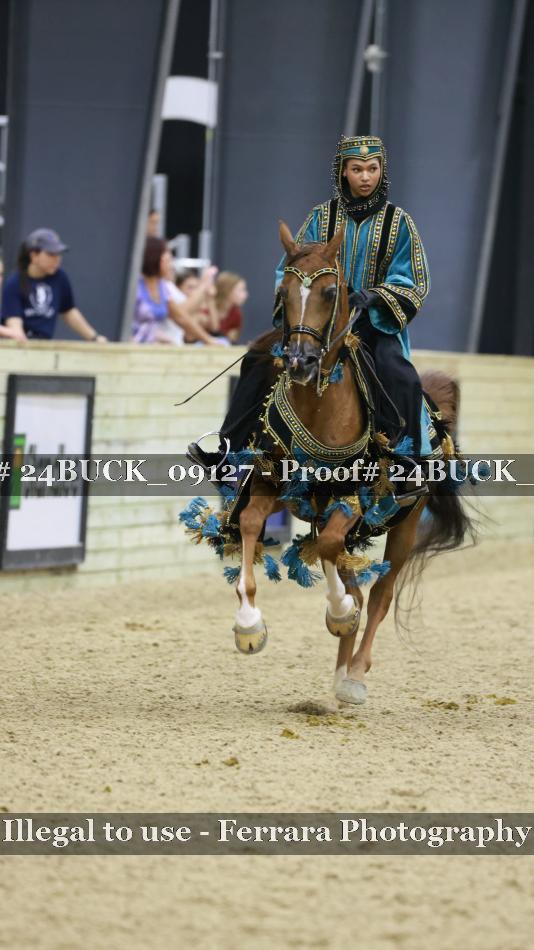 Proof 24BUCK_09127